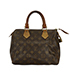Louis Vuitton 'Speedy 25' Mono Bag, front view